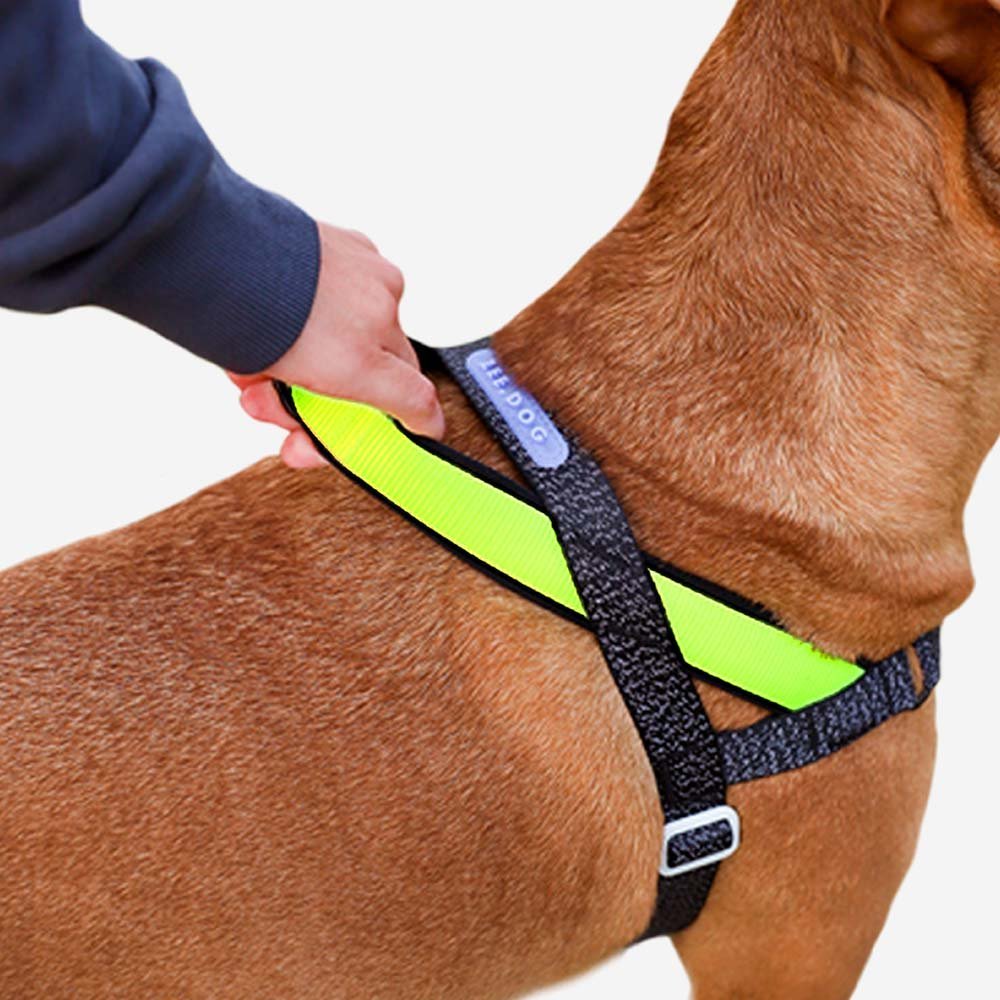 NOX | SofterWalk Harness - Image 2